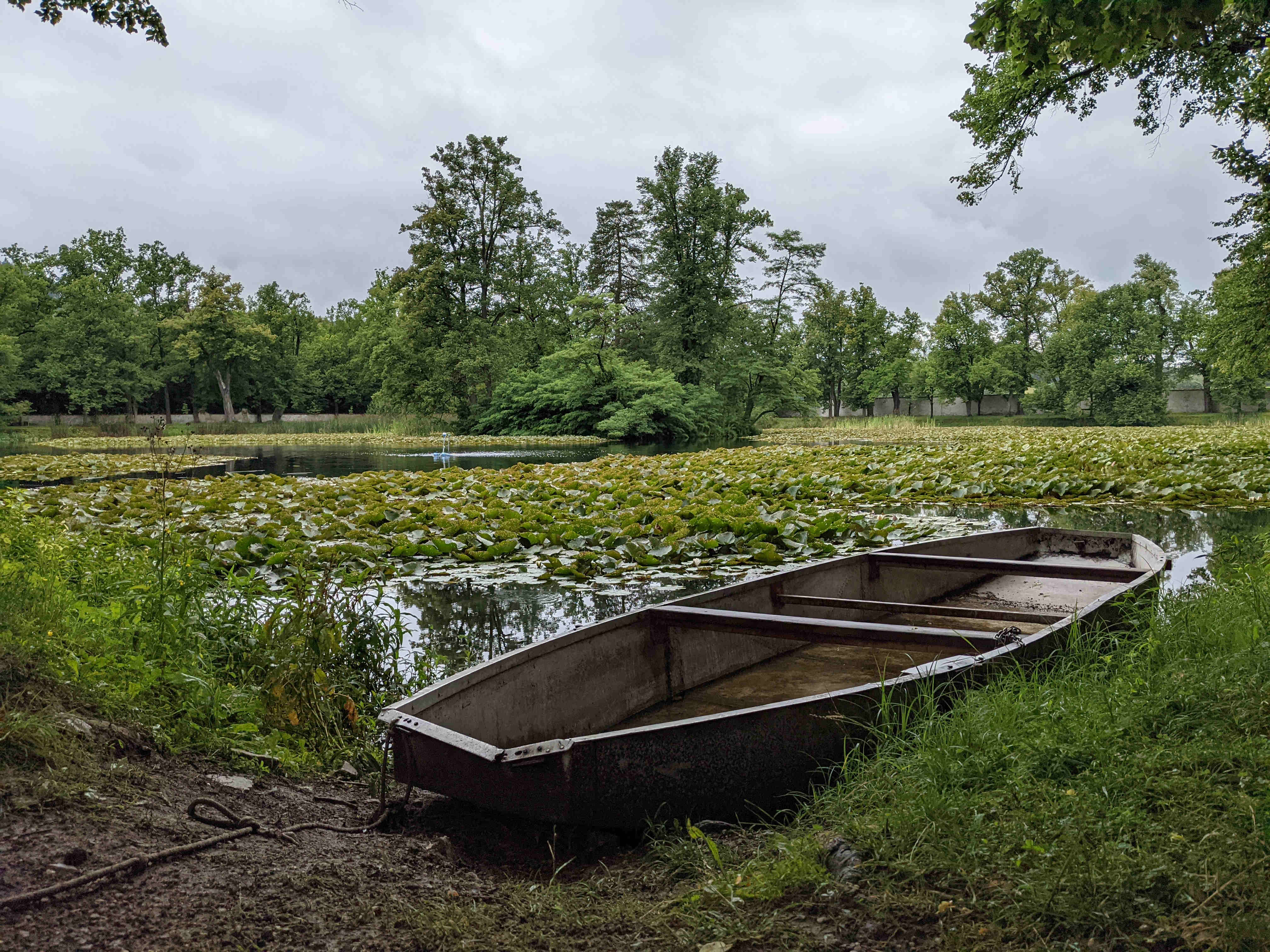 Ein verlassenes Boot in einem pflanzenbedeckten Biotop in Tschechien.
